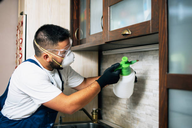 Best Mosquito Control Services  in Garden Acres, CA