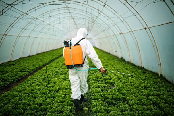 Best Best Pest Control Companies  in Garden Acres, CA