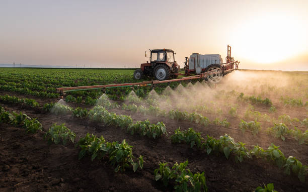 Best Best Pest Control Companies  in Garden Acres, CA