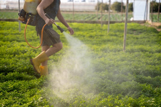 Best Pest Inspection Near Me  in Garden Acres, CA