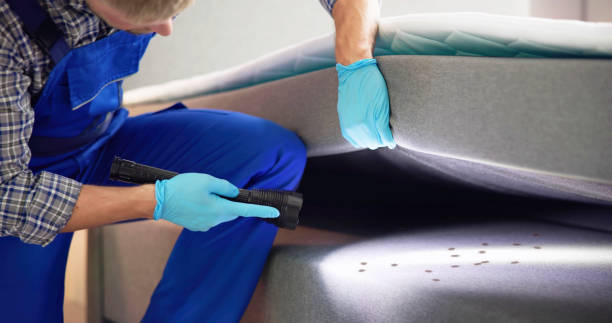 Best Rat Extermination Near Me  in Garden Acres, CA