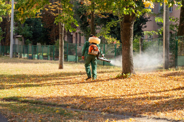 Best Affordable Pest Control Services  in Garden Acres, CA