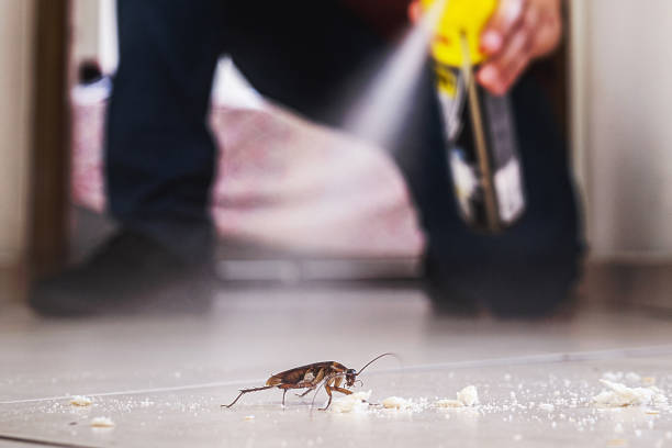 Best Rodent Control Near Me  in Garden Acres, CA