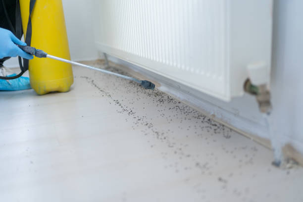 Best Local Pest Control Services  in Garden Acres, CA