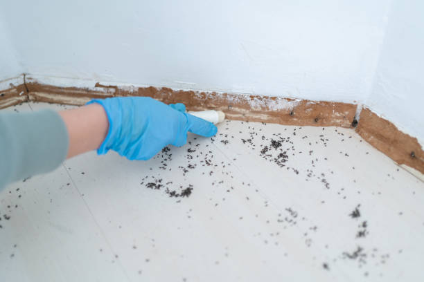 Best Cockroach Control Services  in Garden Acres, CA