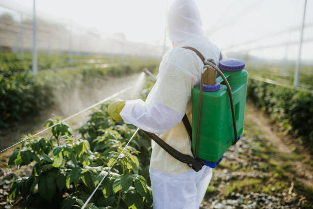 Best Pest Control Near Me in Garden Acres, CA